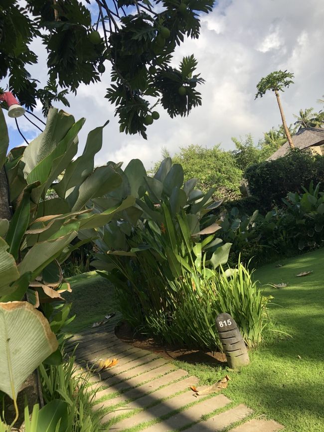 お部屋への道。プライベート感満載。