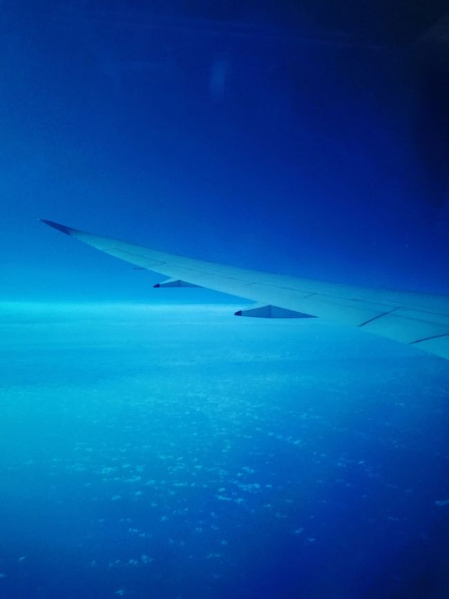 ええ加減な航空会社だったら<br /><br />置いてかれてたかも…<br /><br />それとSQはチャンギでの乗り継ぎの<br /><br />最低時間を50分にしている…<br /><br />いろんな意味でポリシーを感じました(^ ^)