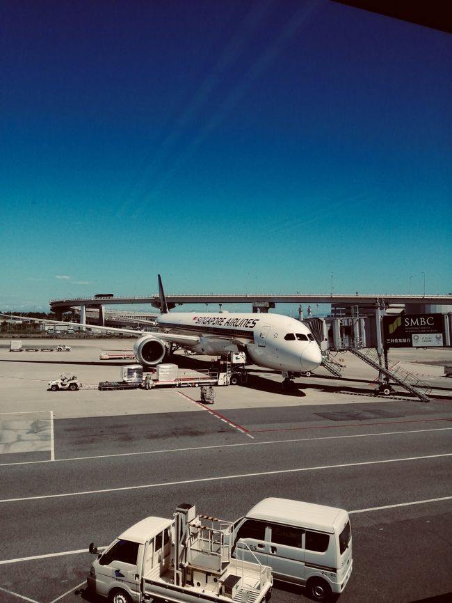 飛行中の対応も良かったですが…<br /><br />今回の対応でさらに<br /><br />SQのファンになりました…<br /><br />また、機会があれば乗ろうっと(^ ^)<br /><br />※写真は関空出発時