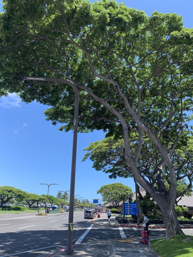 コナ空港に到着。<br />入国審査では、スタッフの方々が大声でカメラ、携帯電話で撮影するな！って言ってるのに、ヘラヘラしながら撮影する日本人のおじさん、おばさんが多くて恥ずかしかった。<br /><br />乗り継ぎはちょっと分かりづらかったけど、スタッフの方々に助けられました。