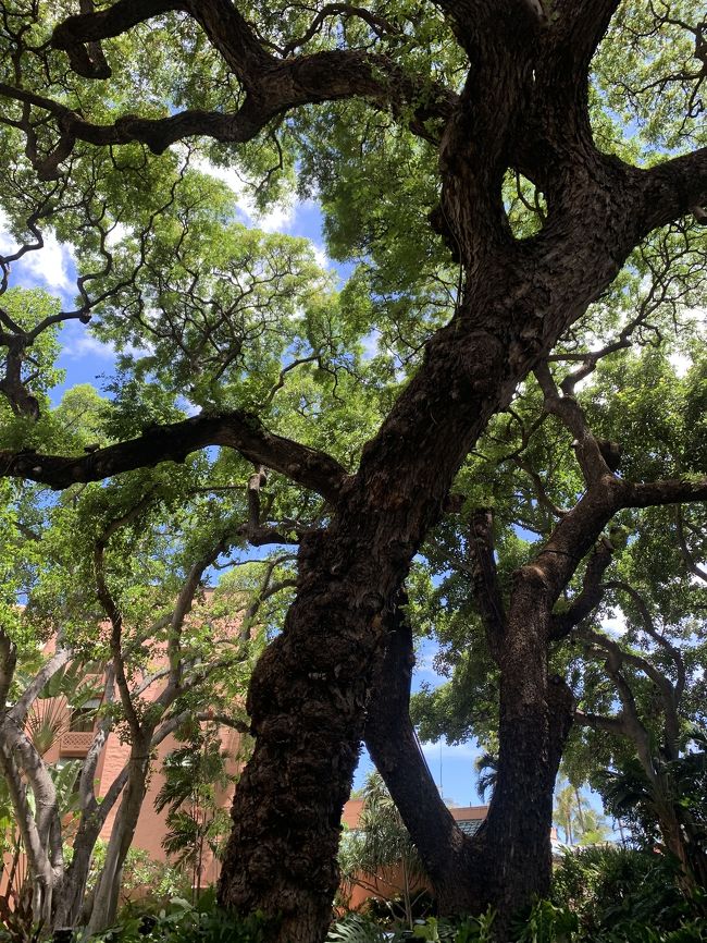 お次はこちら。