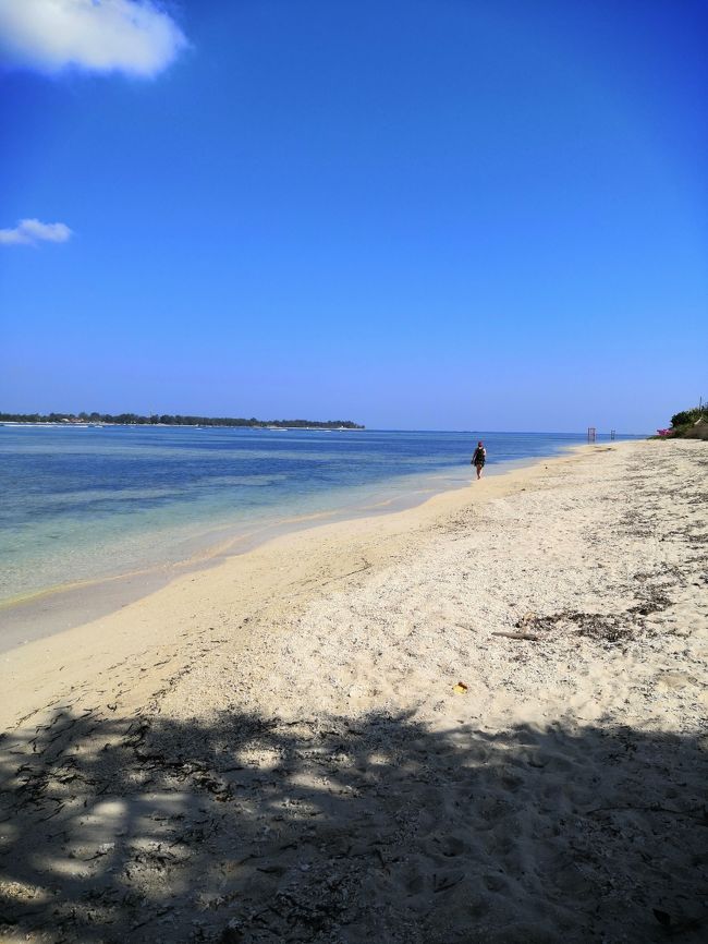 ピンクココのあたり