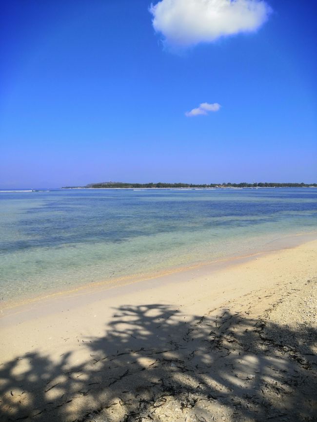 ピンクココのあたり