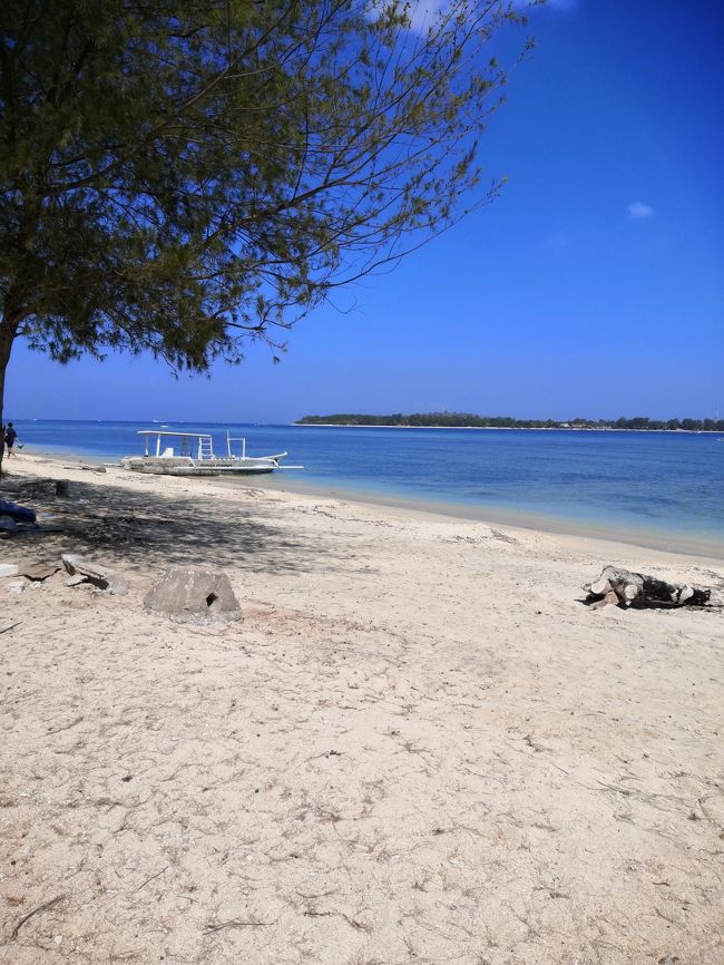 ピンクココのあたり