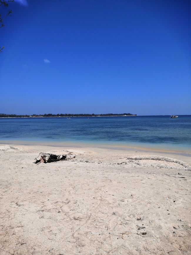 ピンクココのあたり