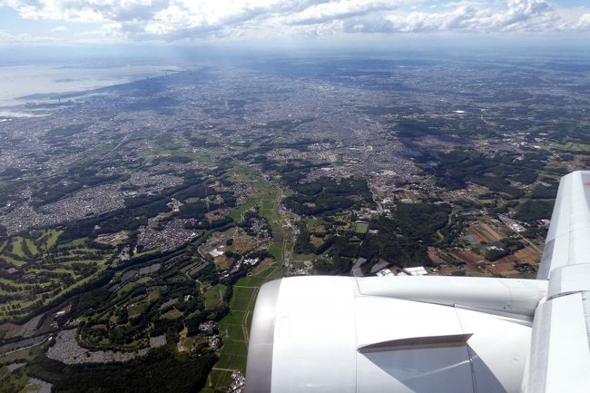 右に左に飛行します