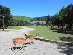 奈良公園