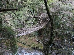 祖谷のかずら橋