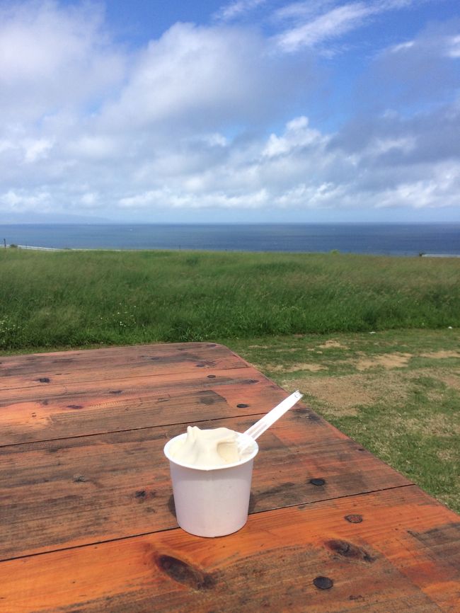 キレイな景色の中で頂くと、余計に美味しく感じる不思議。