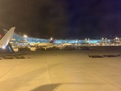 朝の４時半

前回の教訓を生かして、２時間弱ですが、しっかり寝たので今回は目覚めが良いです。
oneworld系と大韓航空は、仁川第２ターミナルです。
