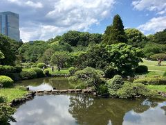 新宿御苑は普段は有料ですが、年に何度か無料で入れる日があります。
5月の連休中のこの日も、入場無料の日でした。
