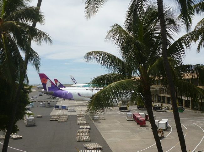 シートベルトサインがつくとまもなく、オアフ島が見えました。思ったより緑豊かな山です。山の景色は素晴らしかったけど、うっかりカメラもスマホもバッグに入れて上にあげ手元になく、撮れませんでした。残念。<br /><br /><br />今回はJALだったのですが、遠くにANAのカメの模様の飛行機が見えました。<br /><br />到着便が重なったようで、入国審査は大行列。45分ほどかかりました。私の周囲は日本人以外は韓国語。<br /><br />ハワイとの時差は19時間。5時間引いた前日で、同じ日を二日近く過ごすことになりました。<br /><br />ホノルル空港は、いつの間にかダニエル・K・イノウエ国際空港になっている。2017年4月かららしい。空港に限らずほかにもダニエル・K・イノウエの名称が付いたところがあります。ダニエル・K・イノウエ‥議員だったか・・聞いたことはあるけど、空港の名前になるほどの人と知らず調べると、明治時代にハワイに両親とともに移住し、ハワイ大学在学中に真珠湾攻撃に始まる第二次大戦になり、アメリカへの忠誠を示すため米陸軍の日本人部隊に入り、イタリアでドイツ軍と戦った際、右腕を失い、それでもなお昏倒するまで戦闘を続けたことで称えられ勲章を受けました。右腕を失ったことで、当初目指した医学の道をあきらめ政治家になりました。強い方だったのでしょう。<br />