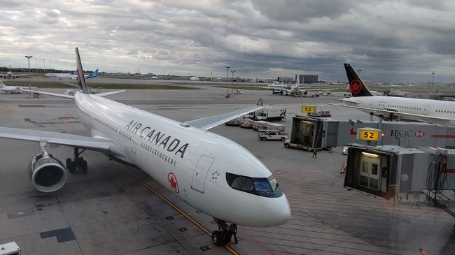 エアカナダルージュに乗って次の国へ移動です。