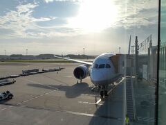 ついに成田空港へ到着し、飛行機から降りました。
18日間の世界一周旅行がとうとう終わってしまいました。
怪我や事故もなく帰国できたのが何よりでした。