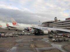 羽田空港07：10発JAL305便で福岡空港へ向かいます。
TOKYO2020ペインティング機