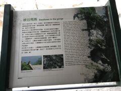 太魯閣国家公園内の燕子口では燕が良く飛来して崖の割れ目の穴に巣を作るそうです。