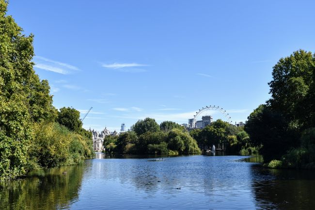 池から撮った写真。奥にロンドンアイが見える。
