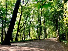 ショパン像とリスト像を見た後、ワジェンキ宮殿に向けてワジェンキ公園を散歩しました。