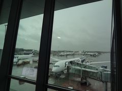 到着時、ヘルシンキはあいにくの雨。

乗り継ぎ時間が短いので急ぎ足でセキュリティーと入国審査をこなします。
