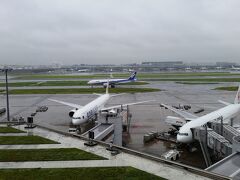 雨の早朝羽田空港から旅が始まります。
天気の回復を祈るばかりです。