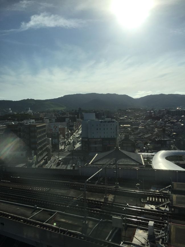 そして翌朝、ぴかーーーっ！！奈良は快晴！！<br /><br />（でもこの日東京は台風直撃でTVでも大騒ぎだったのよ。。。ごめんなさい）<br /><br />そして、そして、<br />正面左側のわかくさ山の下に興福寺の鴟尾がみえてるのが昨年夏との違いね