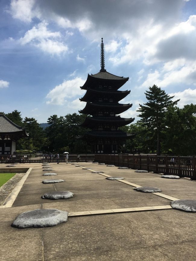 さて朝の支度をすませ、最初に出向いたのは興福寺<br /><br />5重の塔が見えてきました