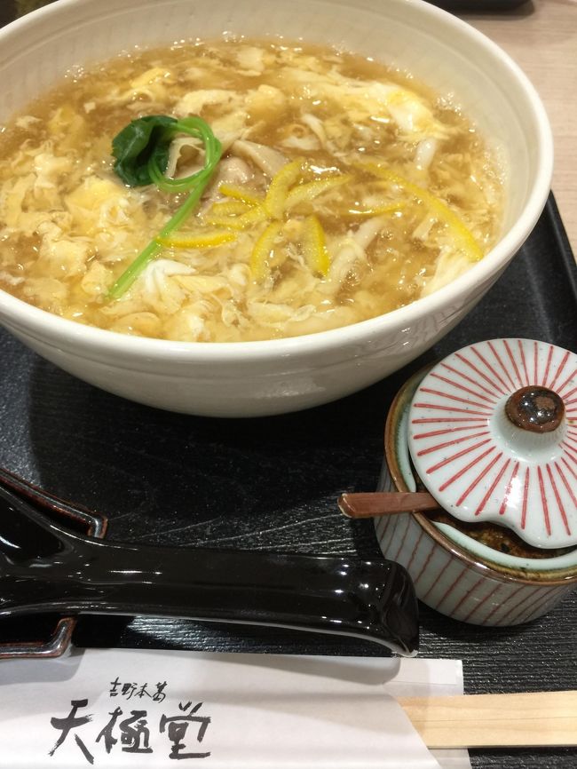 台風一過のせいか、外は無風でむし暑かったので疲れる前に街に引き返しました<br /><br />ランチは天極堂へ<br />私がたのんだ「吉野うどん」<br />エアコンの効いた部屋で熱々のおうどんはたまらなく美味しい！<br />このおうどん、葛が麺に練りこんであるから喉ごしいいんですよ！！<br />でもって、たっぷりと柚？がかった葛あんがすばらしく合うのよ～♪<br />途中で一味もいれて・・・