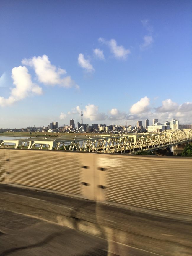 日曜朝、母をピックアップして一路奈良へ<br />遠くにスカイツリーが見える