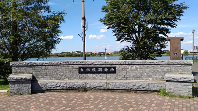 レイクタウン散歩 池のまわりをぐるっと一周 越谷 埼玉県 の旅行記 ブログ By 茶柱たつこさん フォートラベル