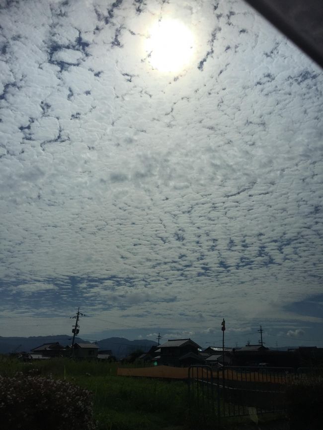 さてさて、<br /><br />翌日は雲がおおいお天気<br />うろこ雲かな？