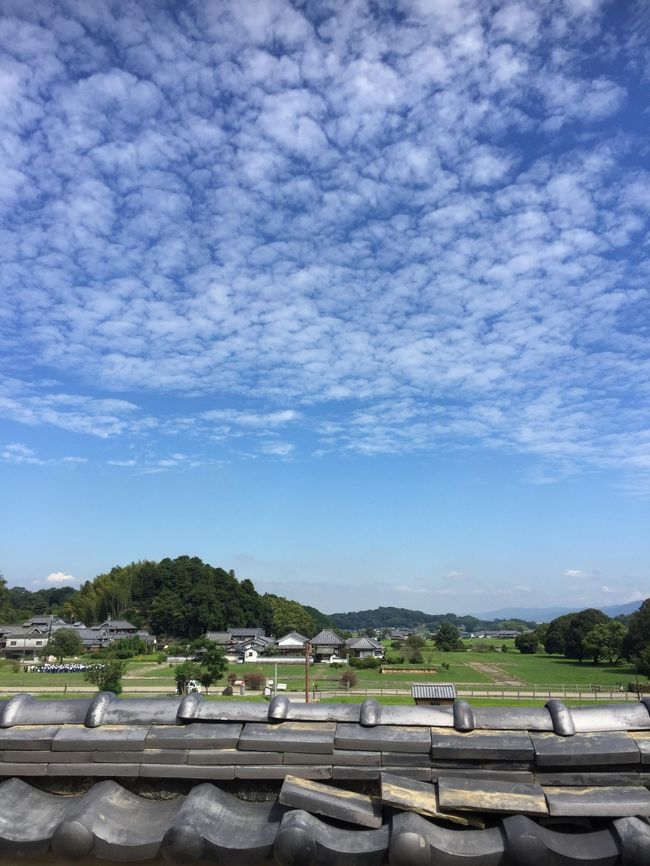 やってきたのは<br />明日香村にある<br />橘寺（たちばなでら）<br /><br />