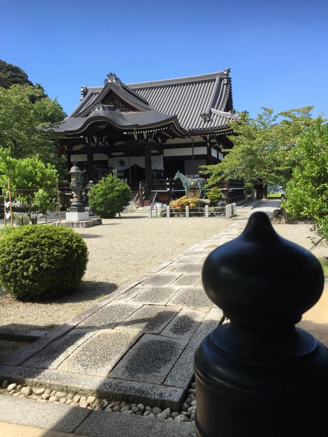 橘寺の手前の馬の像ですが、、<br />遠いのでズームしてください（汗）<br />聖徳太子を乗せて全国を駆け巡ったと伝えられる聖徳太子の愛馬「黒駒」だそうです<br />あまりの太陽の暑さに外のショットが無いです、、すいません<br /><br />