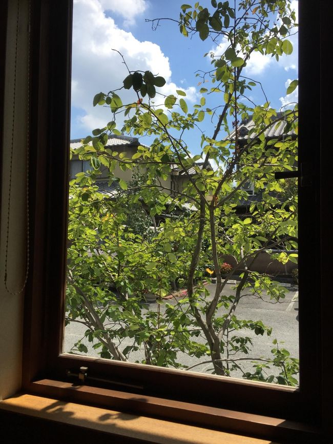 窓の外は照りつける日差しがまぶしいです<br /><br />そうだよ　車のシートが熱かったよぅ・・・