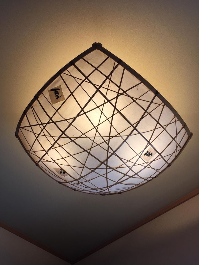 何気に見上げたら、手創り感ある素敵な笠でした