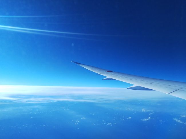 シンガポール空港を離陸<br />行き帰りともに B787-9<br />機内気圧が高めなので777より疲れにくいと感じるのは私だけ？