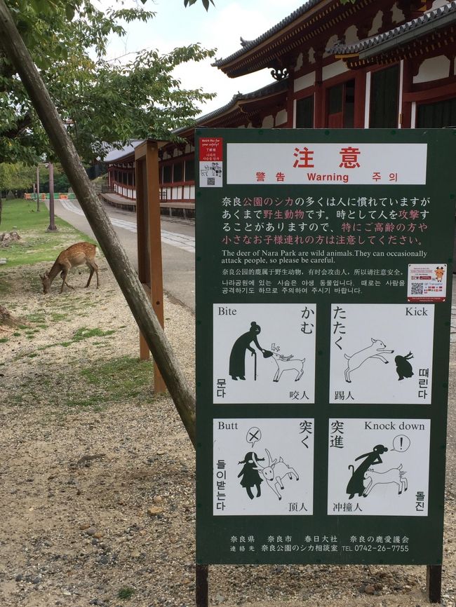 そう、この注意書き大切！<br />一見、鹿さん達はかわいいけど、ひとたび鹿せんべい持ってる事知ると<br />すんごい勢いで大勢でせんべいひったくりにくるので初めての洗礼を受けた時は<br />まじで泣いた・・・<br />それ以来、鹿せんべいは買ってません<br />ほんと怖かったよ～