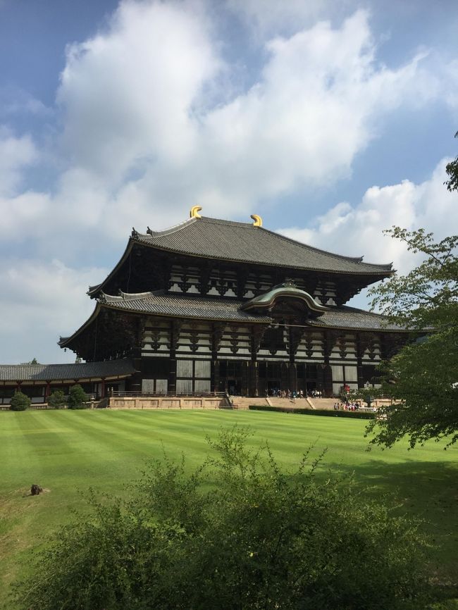 さて、エントランス入ってすぐのところで記念撮影<br />大仏殿はほんとおっきいわ～！