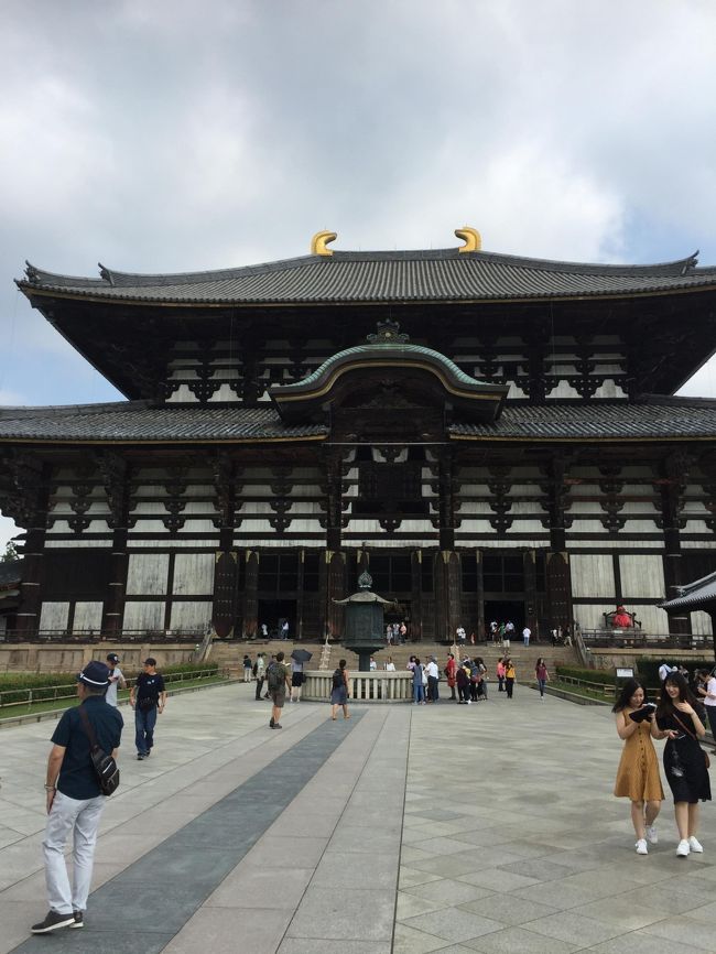 気が付けば、相当数の小学生？団体とかぶり速足でまわることに