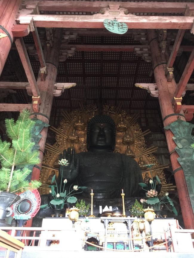 こんにちは～<br />また今年も参拝に参りました<br />