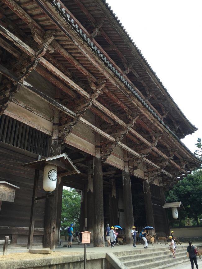 高齢の母には南大門の階段の勾配がきついので門をくぐらず横からでます