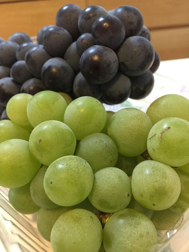 旅を終え・・・<br />この夏、藤稔ぶどうをとうとう口にできなかったのは心残りだが<br /><br />代わりにNY生まれのスチューベン（黒）とナイアガラ（緑）をゲット♪<br />両方ともあまぁくて美味しぃ。。。<br />そしてナイアガラはどこか昔懐かしい消しゴムと同じにおいがする・・・<br /><br />最後まで読んでいただきありがとうございます