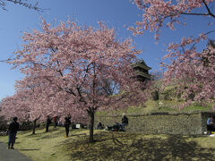 最初に訪れたのは真田ゆかりの上田城跡公園。
ソメイヨシノではありませんが、何とか大好きなお城と桜のコラボを見れました。