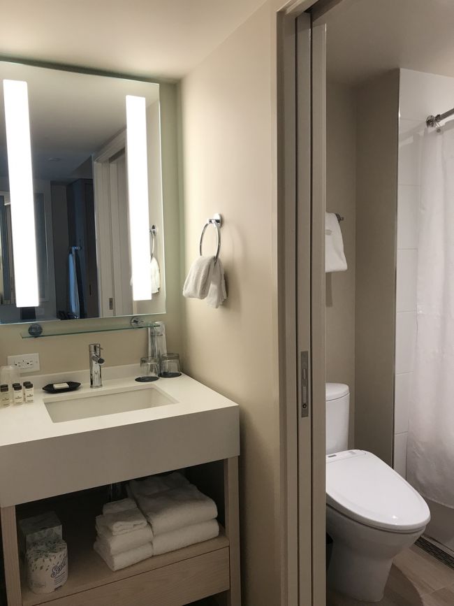 洗面とお手洗い。以前の、お風呂からお部屋越しに窓まで見えるタイプより私には使いやすかったです。