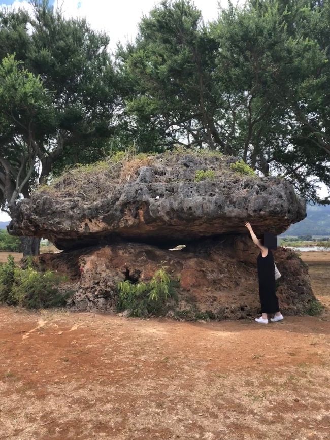 カイアカベイビーチパークでは、パワーストーンに触ったり、ハートの木を探したり。(←ハートの木、みつけられなかったです。)この後ノースショアマーケットプレイスのパタゴニアに寄ってお昼ごはんへ。