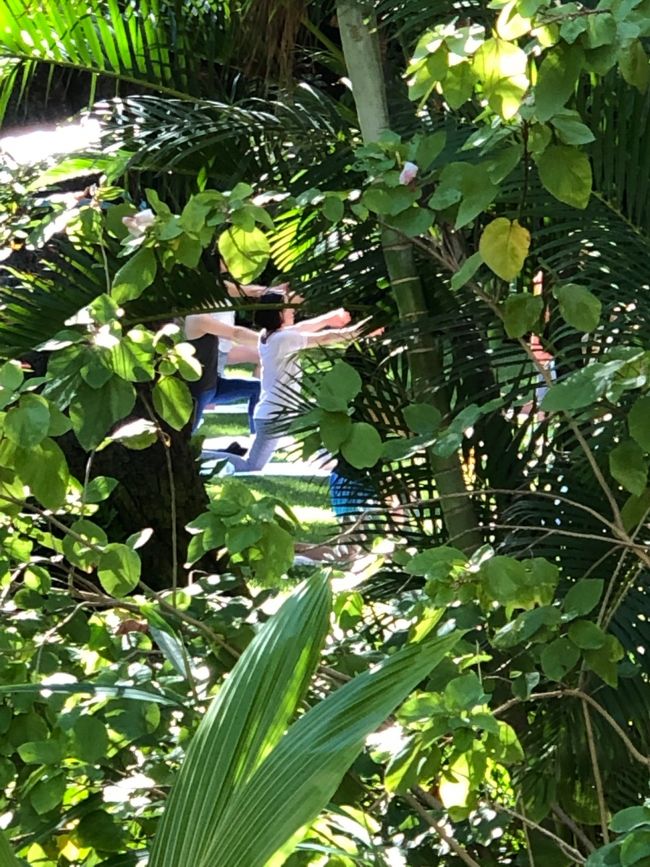 ロイヤルハワイアンのお庭で1時間。先生は英語と日本語、両方OKの優しくて綺麗な方。すごく気持ち良かったです。大人になって目を閉じて芝生の上に寝るとか、なかなか出来ないです。