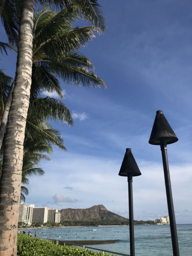 特別なことはしていませんが、家族でのんびりハワイ、楽しかったです。レンタカー移動をしたり、和食をちょこちょこ挟んだり、親世代にも無理の少ない旅だったかな、と思います！