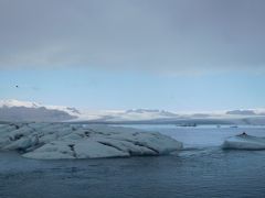 10:00頃にヨークルスアゥルロゥン氷河湖（Jokulsarlon Glacier Lagoon)に着いたのですが、どしゃぶりで車の中から出られません。しばらく車の中で待機します。

30分位したら小降りになったので、水陸両用ボートツアーのチケット購入に行きましたが（5800isk）、予約できたのは12:00出発でした。かなり待つけど、その間に写真を撮ったり、ランチを摂ったりすることにしました。