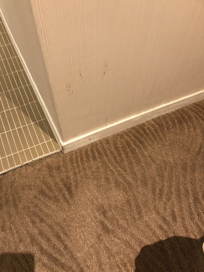 こんな感じで壁に傷があったり、ちょこちょこ汚れがあったり…でもまぁ安いし！許容範囲ってとこですかね(偉そう)<br />さぁ！もうおなかぺこぺこなので夕飯行きましょー！ホテル前の道路は大きくてタクシーが捕まえやすいので、タクシーで杭州小篭湯包にむかいます！