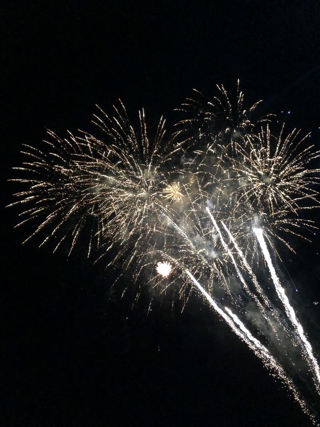 メインプールで行われるフラショーを策の外側から見て、海岸に行きました。<br />