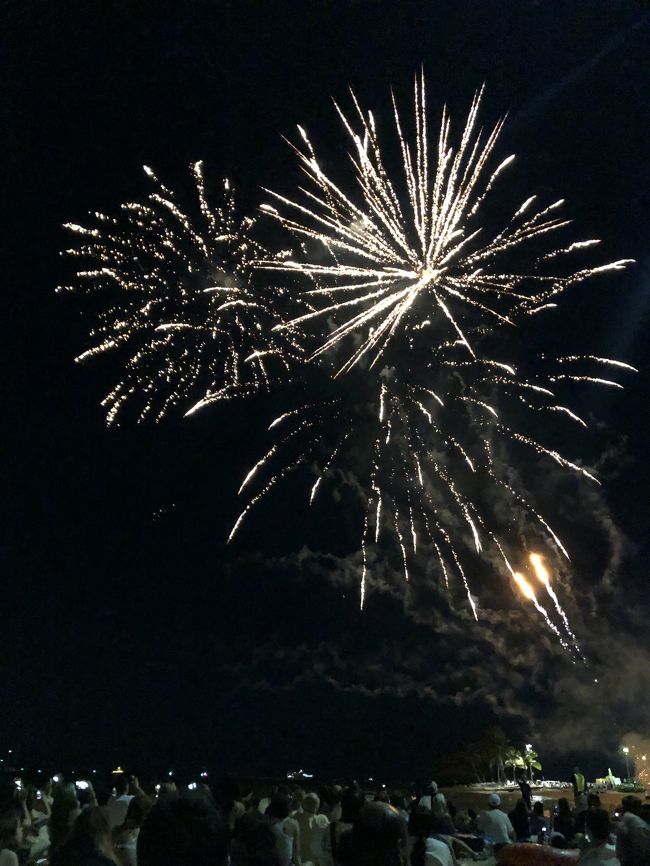 写真の下方を見ると、見物人の多さがわかります。<br />他のホテルからも来ているようでした。